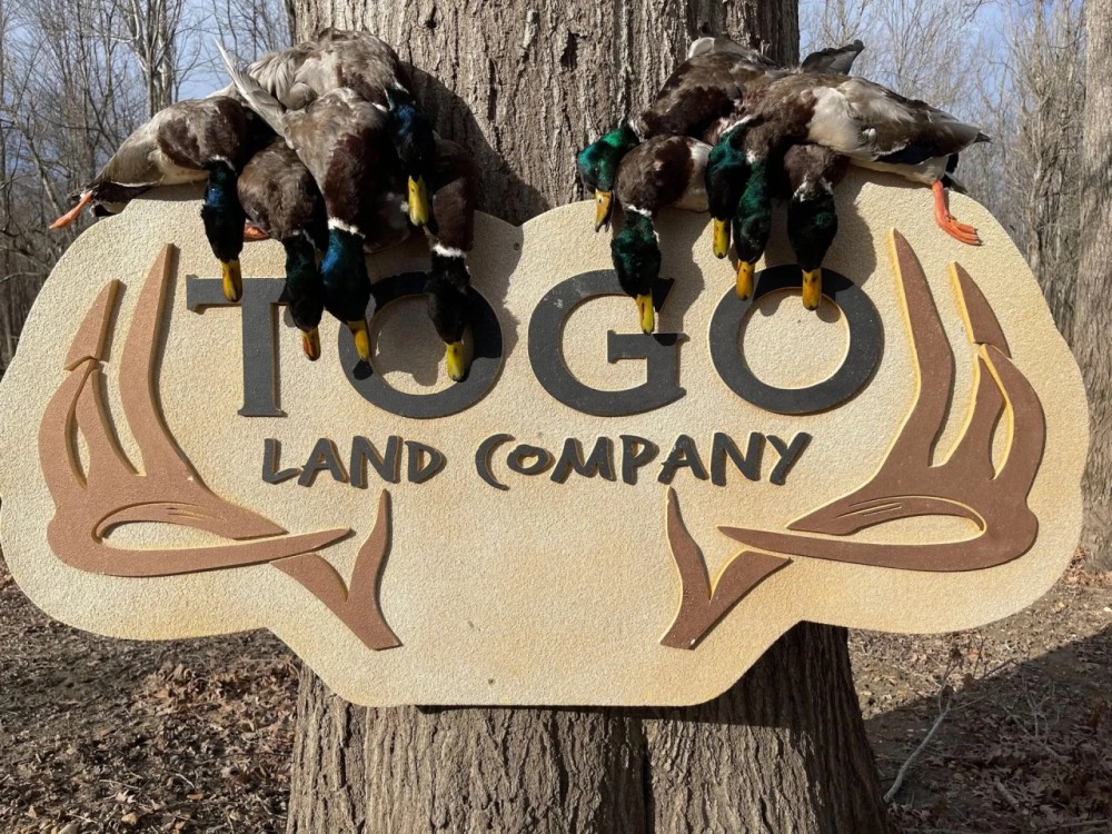 One Equity Share With a Cabin at Togo Land Company LLC in Claiborne County MS featured image