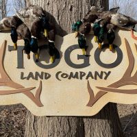One Equity Share With a Cabin at Togo Land Company LLC in Claiborne County MS