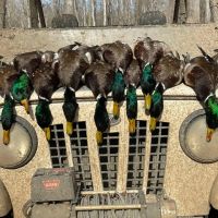 One Equity Share With a Cabin at Togo Land Company LLC in Claiborne County MS images 2