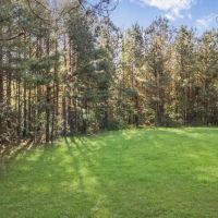 340 Acres Hunting Timberland for Sale St Helena Parish LA