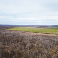 One Equity at Share Southside Land Company LLC in Jefferson County MS images 3
