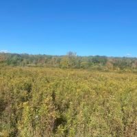 Hunting Land with Creek on 10 acres near State Land in Granger NY Kempshaw Rd