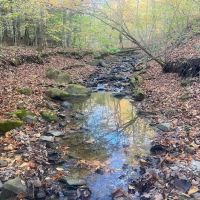 Hunting Land with Creek on 10 acres near State Land in Granger NY Kempshaw Rd images 3