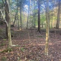 Hunting Land with Creek on 10 acres near State Land in Granger NY Kempshaw Rd images 5