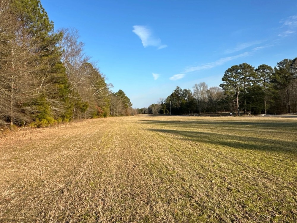 51.7 Acres Ready to Build or Farm featured image
