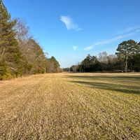 51.7 Acres Ready to Build or Farm