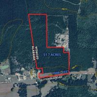 51.7 Acres Ready to Build or Farm images 2