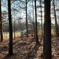 51.7 Acres Ready to Build or Farm images 3