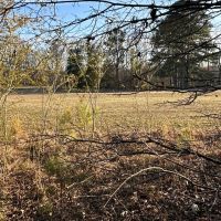 51.7 Acres Ready to Build or Farm images 5