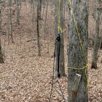 Heller s Hideaway images 5