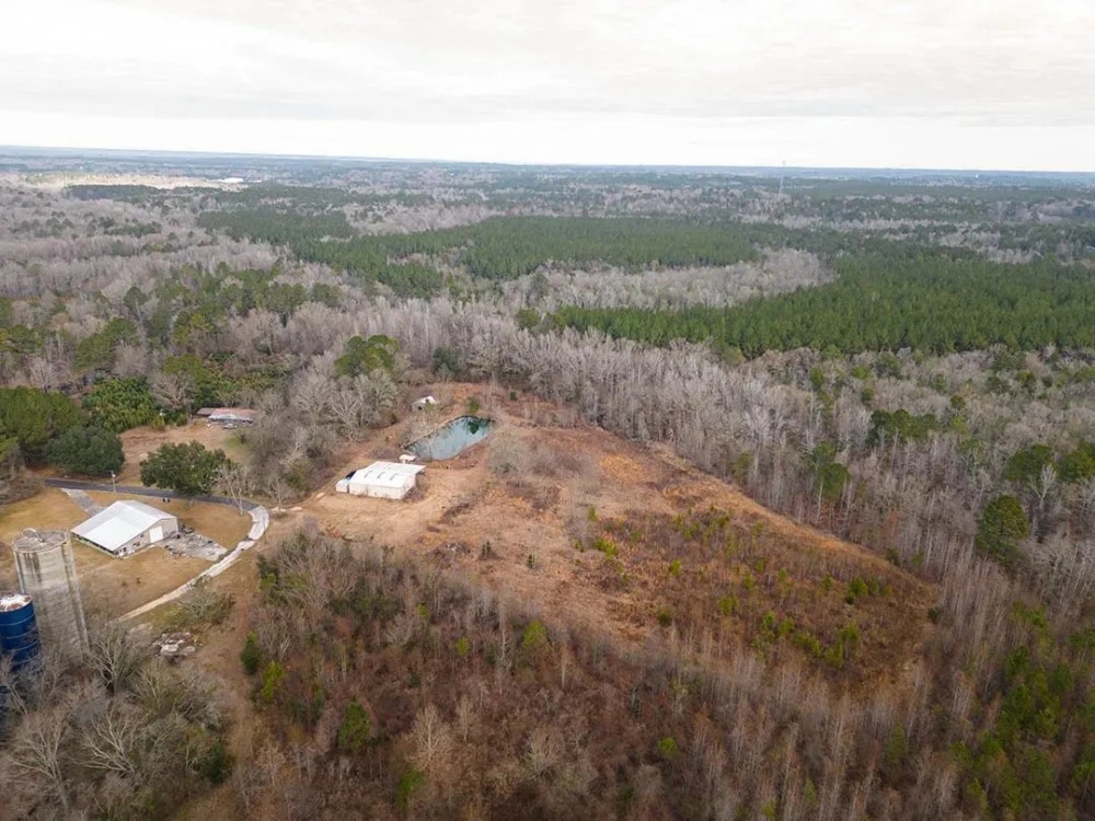 70 Acres in Clarke County MS featured image
