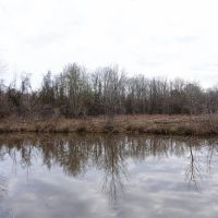 70 Acres in Clarke County MS images 5