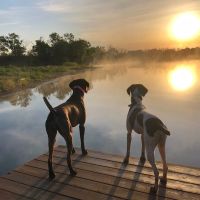 TTT Ranch images 5