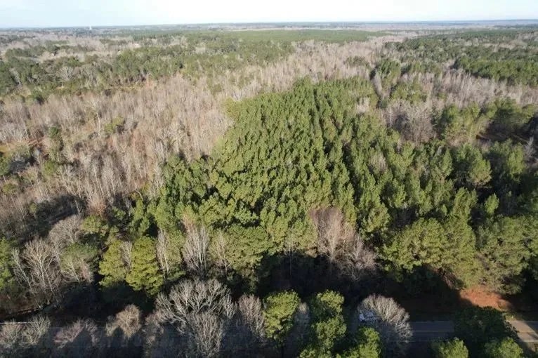 25 Acres in Madison County in Canton MS featured image