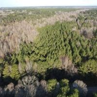 25 Acres in Madison County in Canton MS images 1