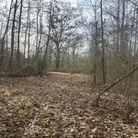 25 Acres in Madison County in Canton MS images 3