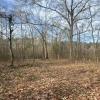 25 Acres in Madison County in Canton MS images 4