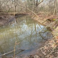 25 Acres in Madison County in Canton MS images 5