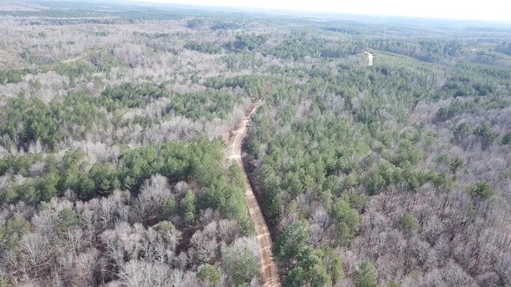 80 Acres in Grenada County MS featured image