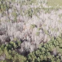80 Acres in Grenada County MS images 3