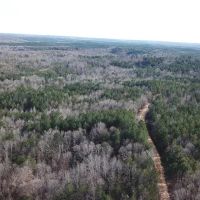 80 Acres in Grenada County MS images 4