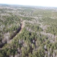 80 Acres in Grenada County MS images 5