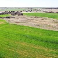 5 14 Auction 160 Acres Crop Pasture images 3
