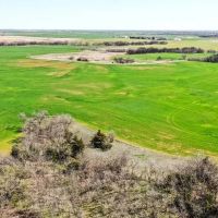 5 14 Auction 160 Acres Crop Pasture images 4