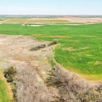 5 14 Auction 160 Acres Crop Pasture images 5