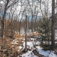 Ozark Acres images 2