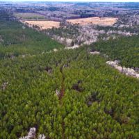 60 Acres in Simpson County MS
