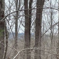 REDUCED 7.5 Acre Tract 1 on Whitmire Church Road images 2