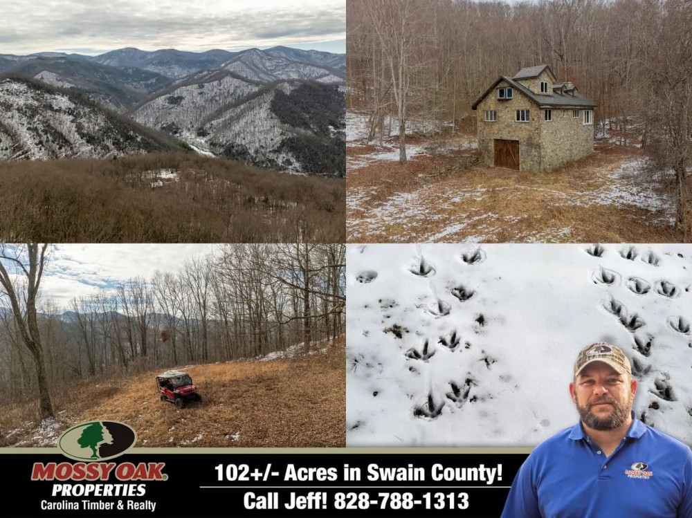 102 - Acres in Swain County featured image