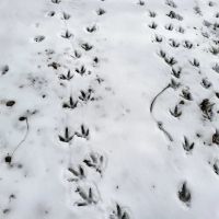102 - Acres in Swain County images 5