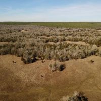 Lake Ozzie Cobb 102-A Antlers OK 74523