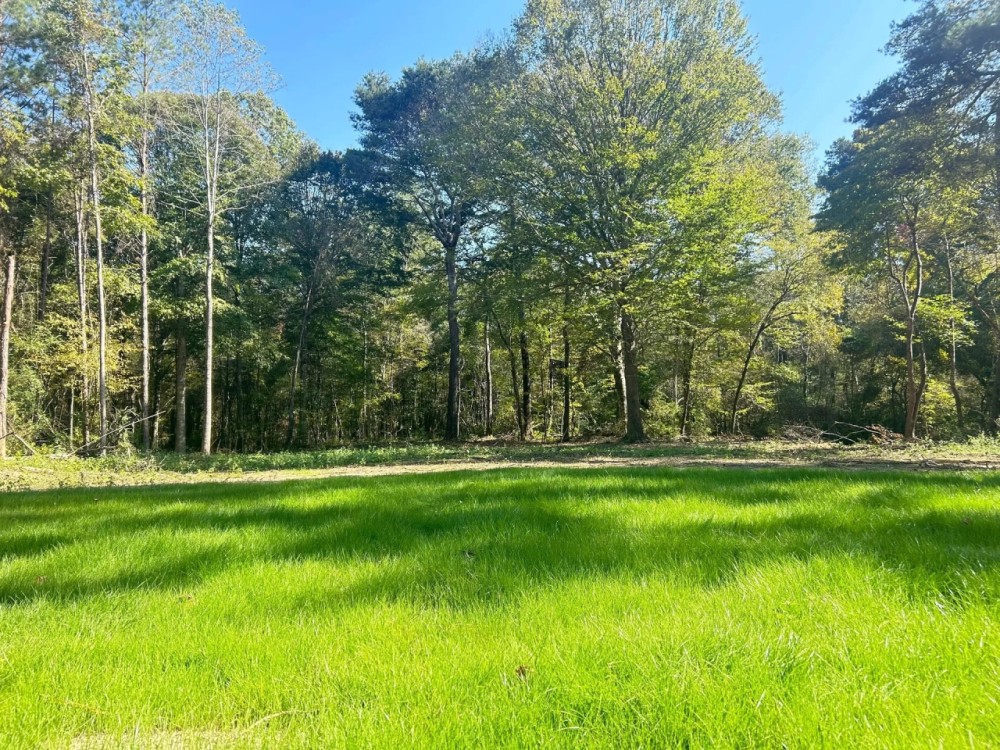 68 Acres in Copiah County MS featured image