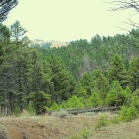 14 Acres of Land for Sale in Jefferson County MT - Gold Mining Hunting