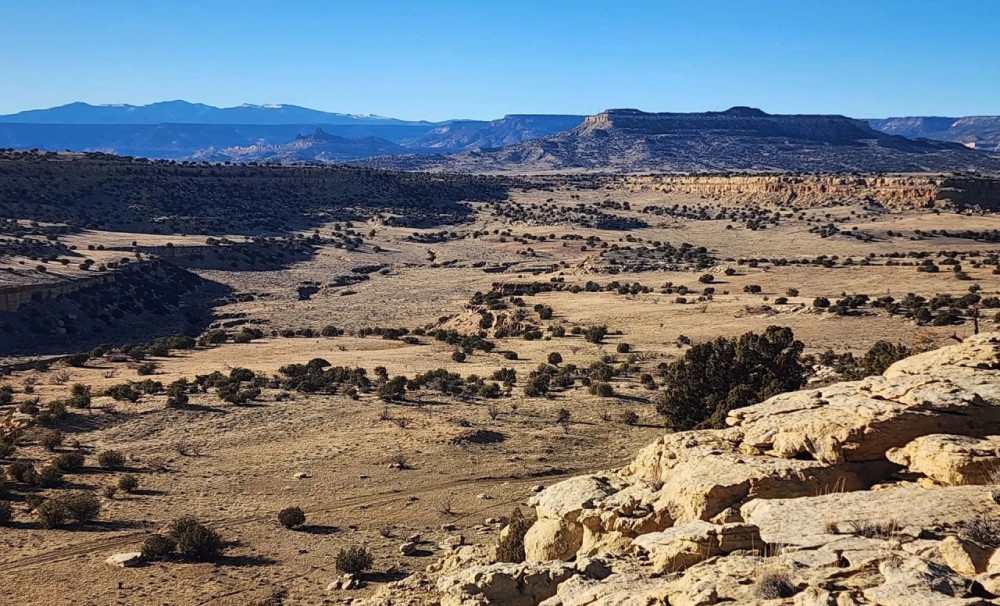 Lobo East Ranch featured image