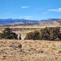 Lobo East Ranch images 2