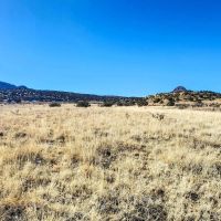 Lobo East Ranch images 3
