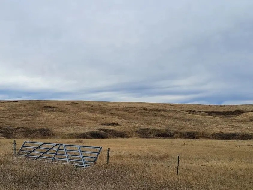 40 Acres - Land for Sale featured image