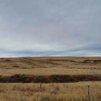 40 Acres - Land for Sale images 2