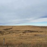40 Acres - Land for Sale images 3