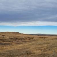 40 Acres - Land for Sale images 4
