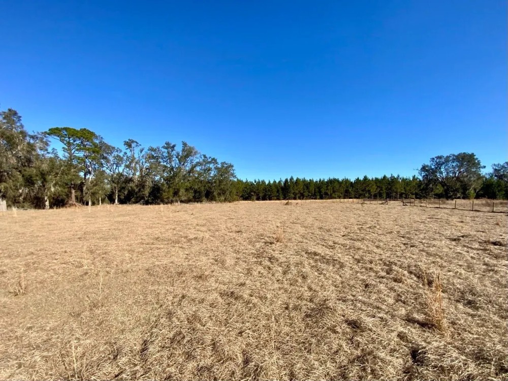 39.19 Acres on Captain Brown Rd. featured image
