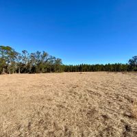 39.19 Acres on Captain Brown Rd.
