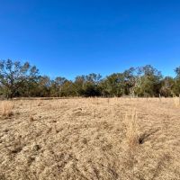 39.19 Acres on Captain Brown Rd. images 2