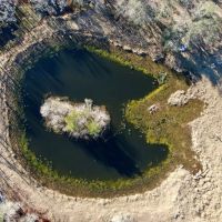 39.19 Acres on Captain Brown Rd. images 3