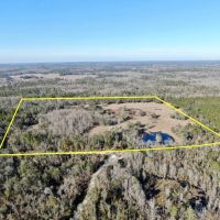 39.19 Acres on Captain Brown Rd. images 4