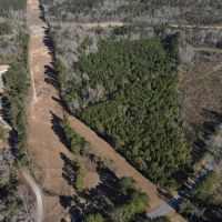 20 Acres in Jasper County MS